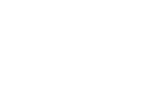 partner-lg